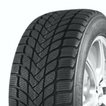 Pneumatiky osobne zimne 215/60R16 99H Master Steel WINTER PLUS 1 IS-W